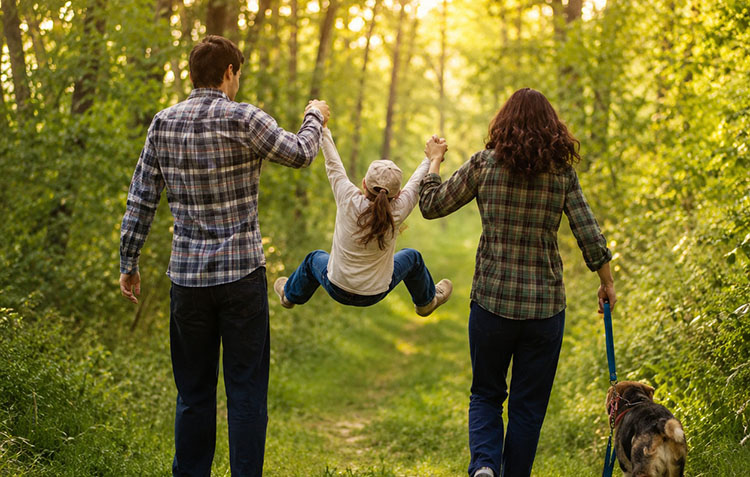 Family Therapy Services in Hinsdale